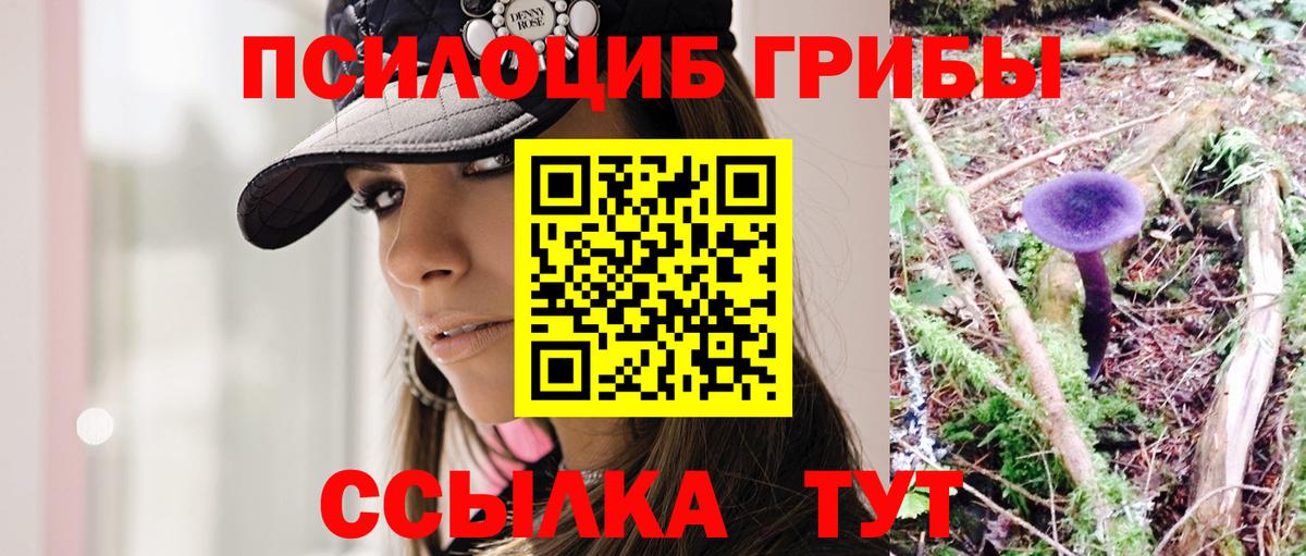 Псилоцибиновые грибы Magic Shrooms  Галлюциногенные грибы Psilocybe  Вход с VPN  Тихорецк 
